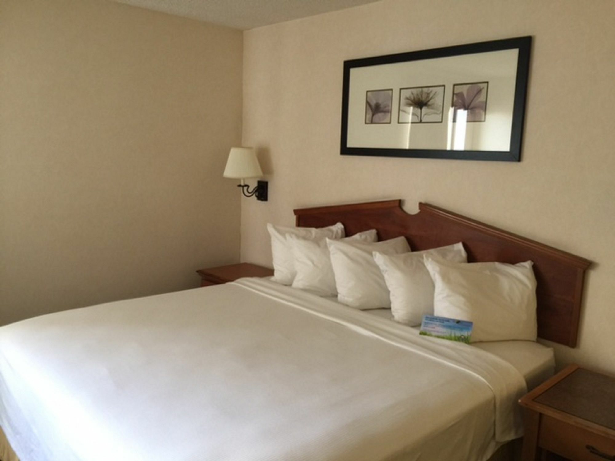 Days Inn & Suites By Wyndham Denver International Airport Zewnętrze zdjęcie